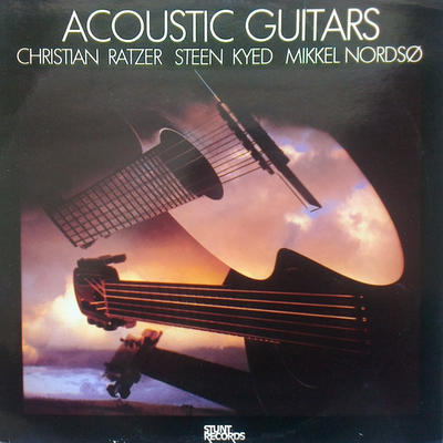 Acoustic Guitars - Acoustic Guitars